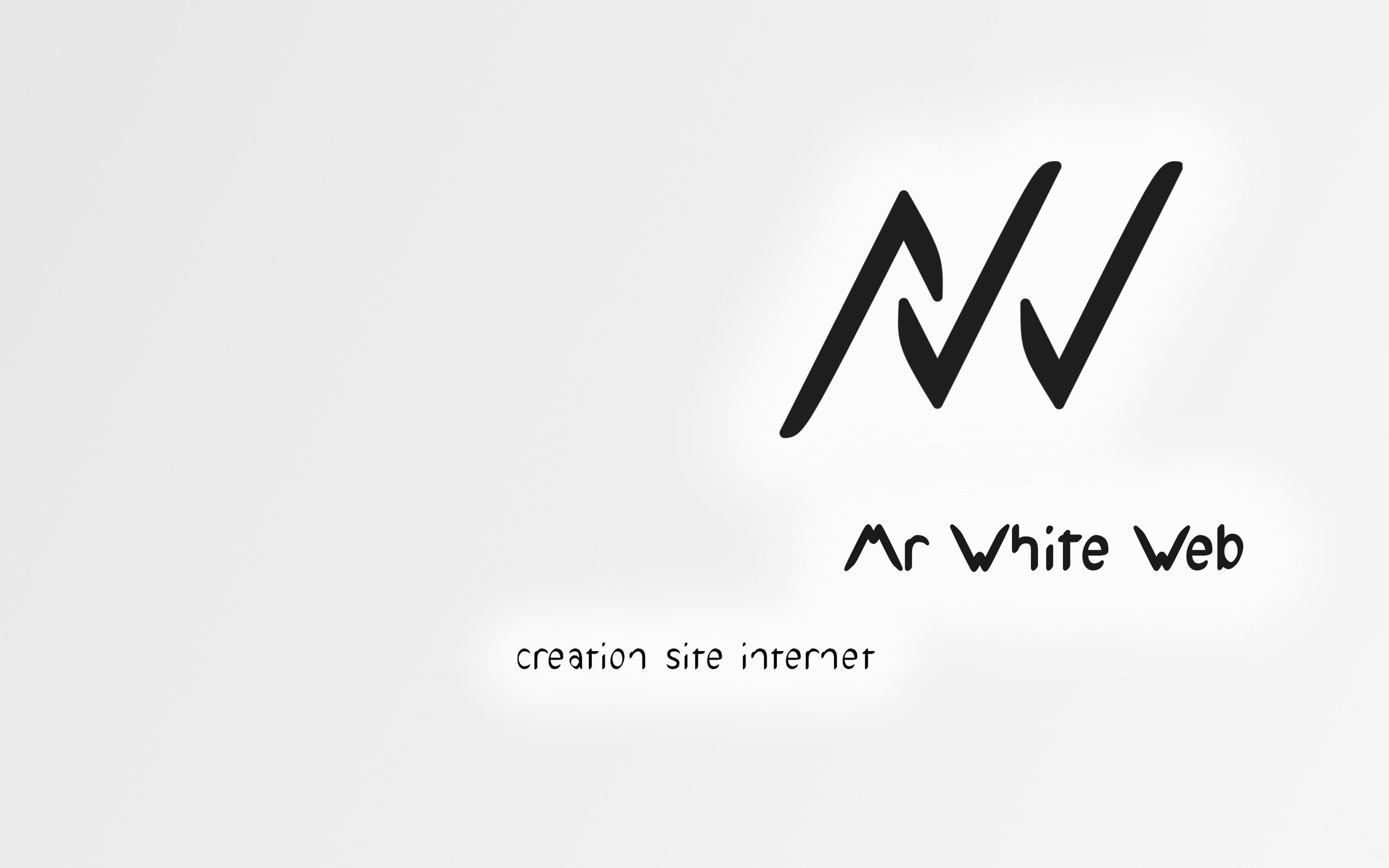 logo mr white web