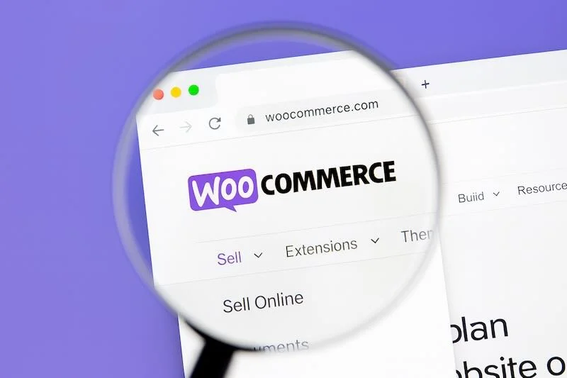 meilleures pratiques SEO pour WooCommerce meilleures pratiques SEO pour WooCommerce