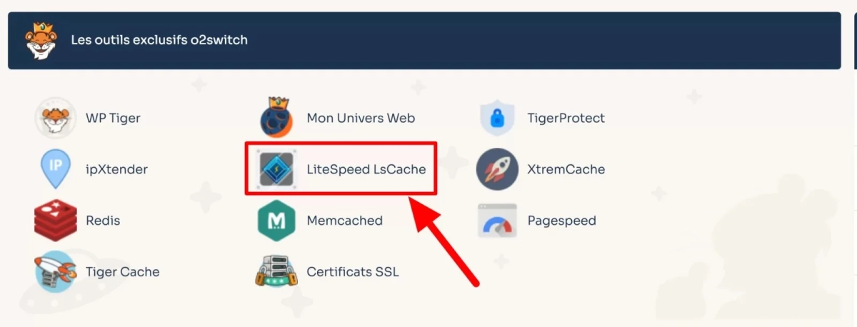 activer LiteSpeed Cache dans cPanel 